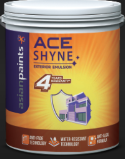 Asian Ace Shyne